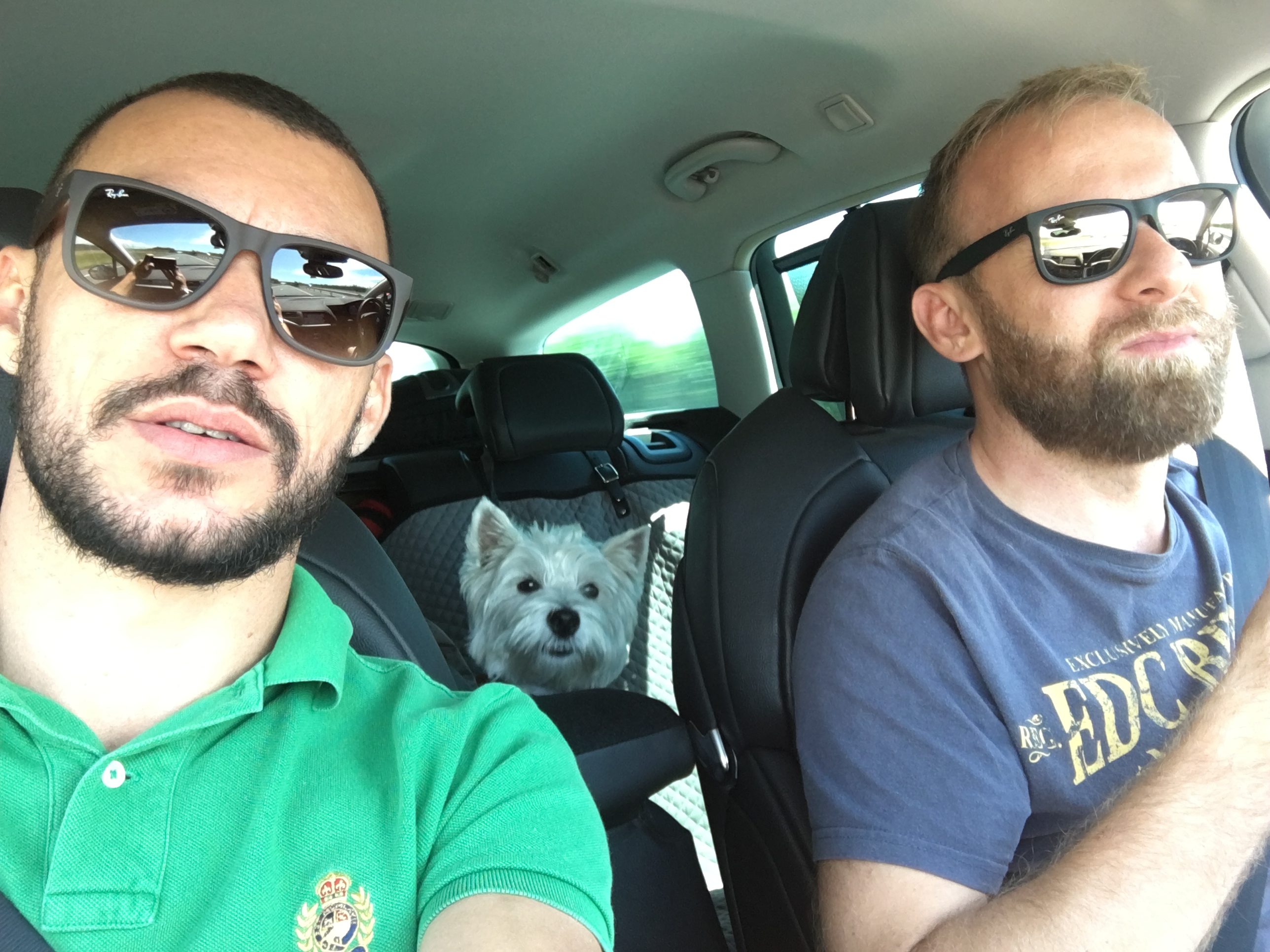 2 Männer und 1 Hund im Auto