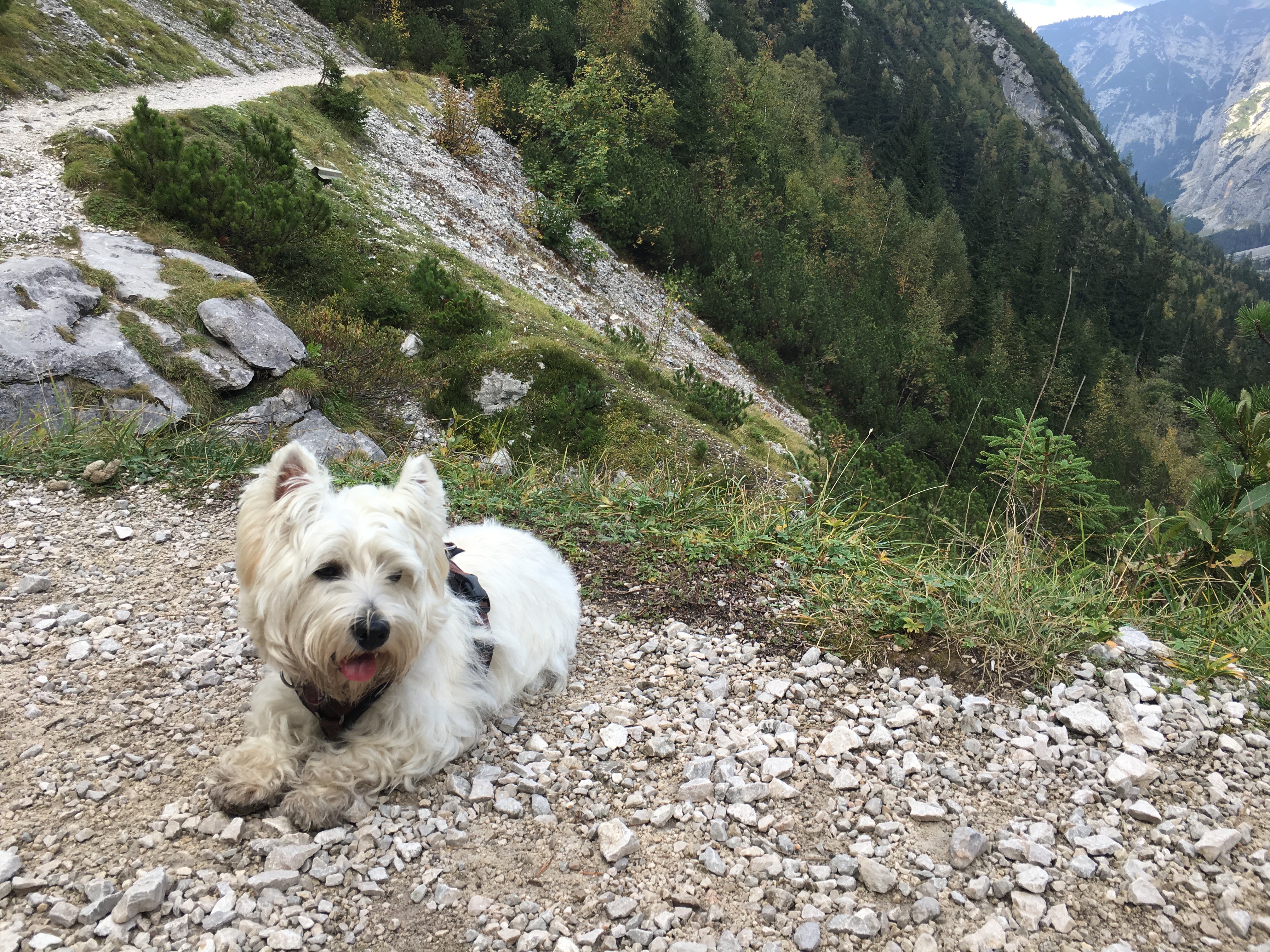Gaia macht Pause